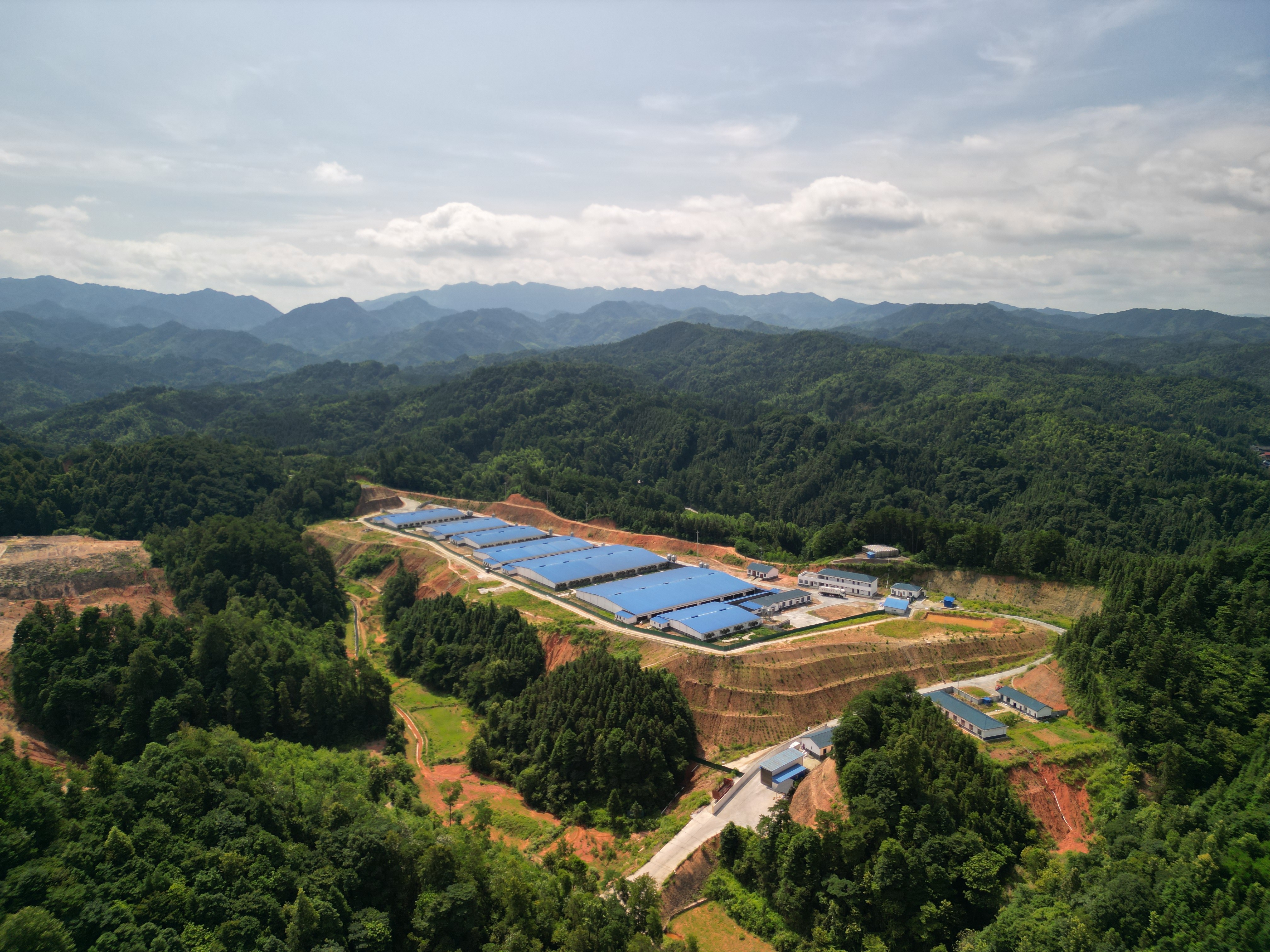 dji_0005_副本.jpg