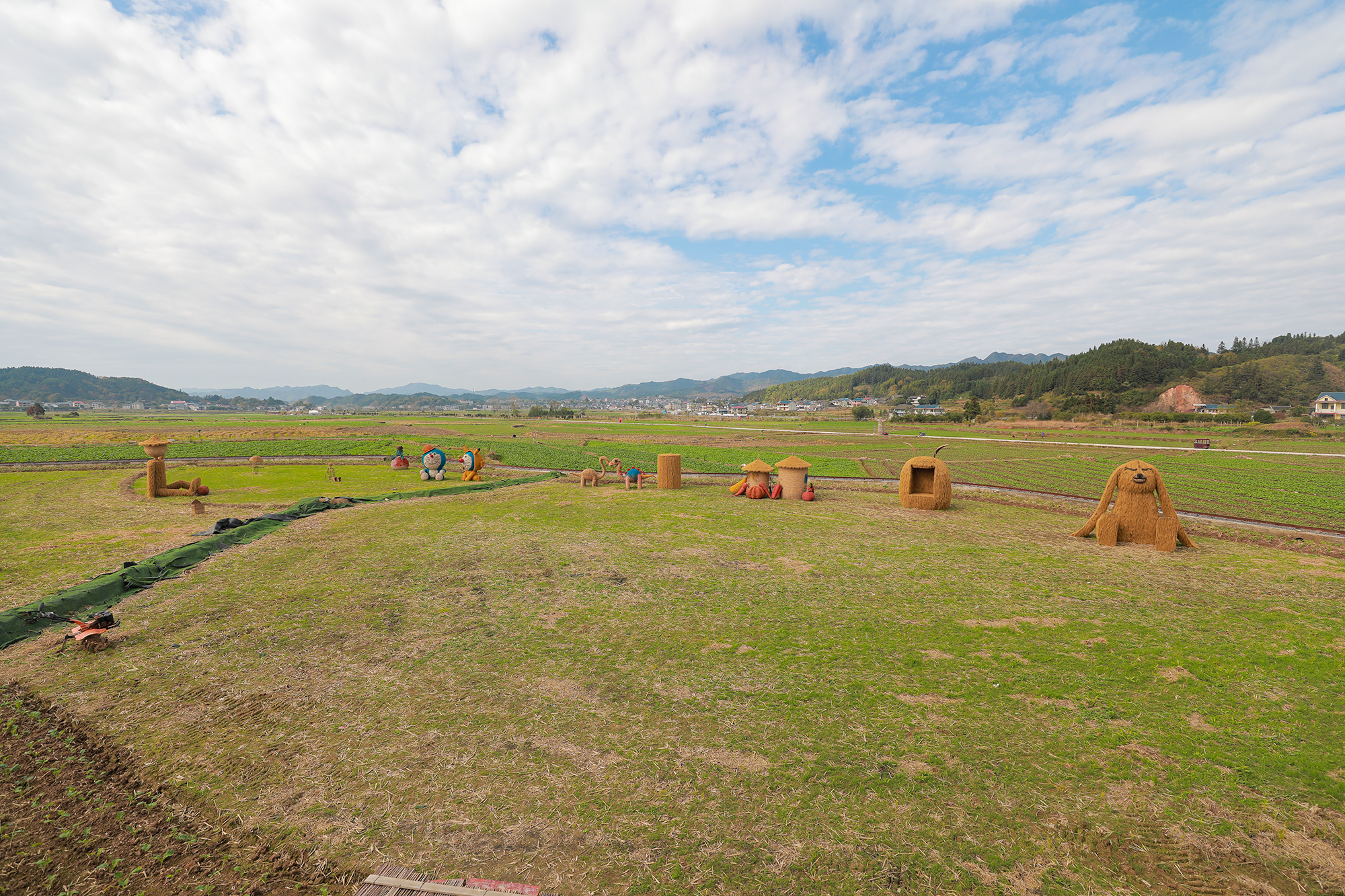 11月28日，冬日暖阳下，堡子镇“稻田公园”风景如画。